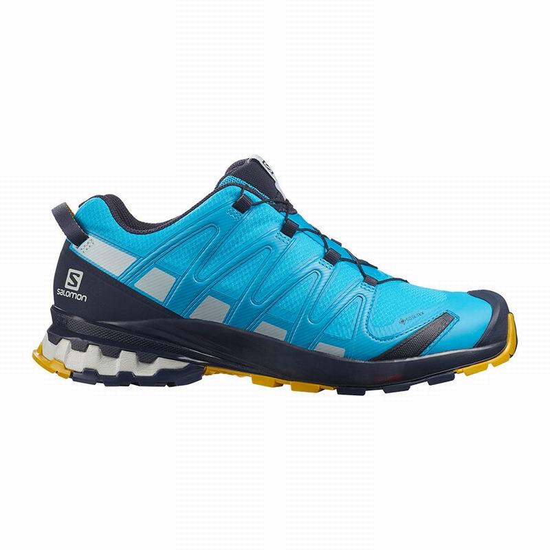 Salomon Singapore Mens Hiking Shoes - XA PRO 3D V8 GORE-TEX Blue | 51607-EDPJ